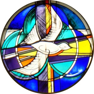 dove-from-parish-newsletter.jpg